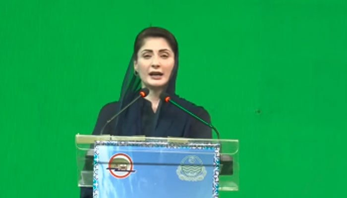 سرکاری جہاز میں جانے کے سارے اخراجات پونے تین کروڑ خود ادا کیے: مریم نواز