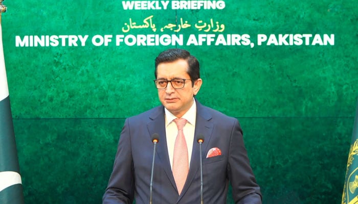 ترجمان دفتر خارجہ سجاد حیدر خان - فوٹو: اسکرین گریب