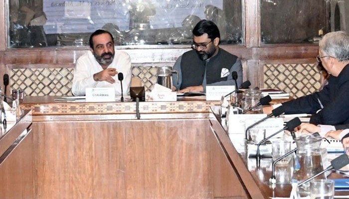 سینیٹ کی قائمہ کمیٹی اجلاس، پیٹرولیم مصنوعات کی قیمتوں کے تعین پر سوالات اٹھ گئے