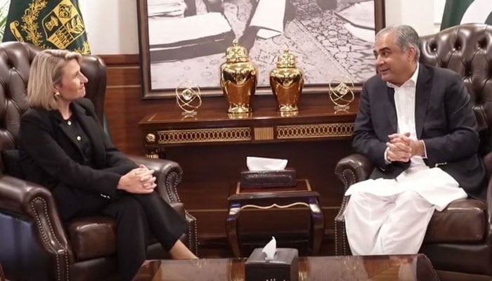پاکستان سے غیرقانونی طور پر یورپ جانے والوں کی تعداد میں 64 فیصد کمی: محسن نقوی