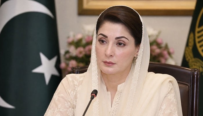 مریم نواز - فوٹو: فائل
