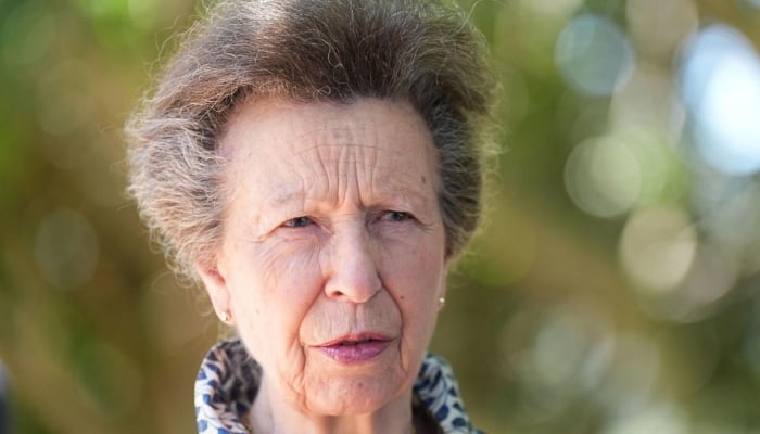 Princess Anne steps out for key rescue charity amid King Charles memoir troubles