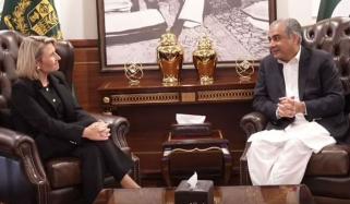 پاکستان سے غیرقانونی طور پر یورپ جانے والوں کی تعداد میں 64 فیصد کمی: محسن نقوی