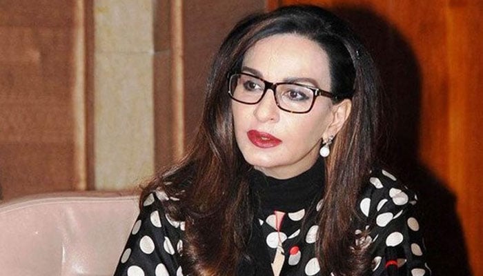 شیری رحمٰن— فائل فوٹو