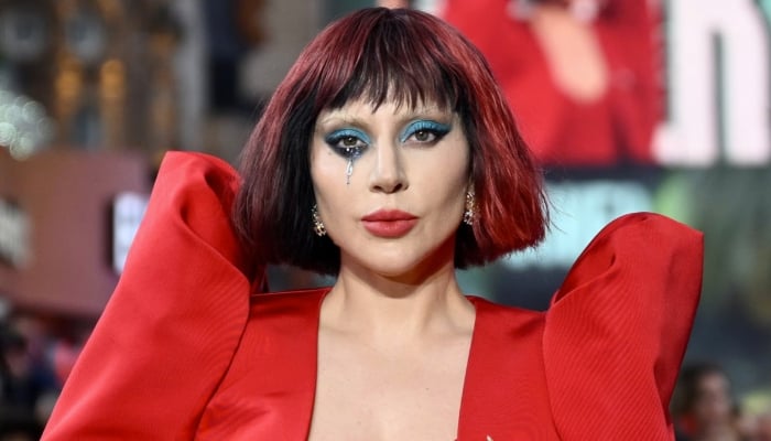 Lady Gaga’s new born: Baby name and surrogacy details reveal