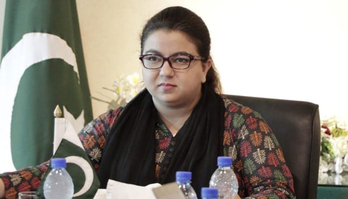 91 فیصد رجسٹریشن موٹر سائیکل، رکشوں کی ہوئی ہے، شزا فاطمہ