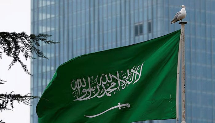 The Saudi coalition foiled the attacks of the Houthis in Bish, Taif, Farsan and Yanbu