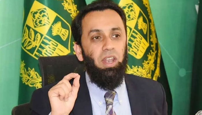ہماری ذمے داری ہے کوئی پُرتشدد جتھہ اسلام آباد نہیں آئے گا: عطا تارڑ