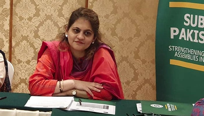 مصطفیٰ کمال کراچی کو دوبارہ لسانی جنگ میں دھکیلنا چاہتے ہیں، سعدیہ جاوید