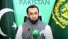 پی ٹی آئی میں فیصلہ ساز کون؟ بیرسٹر گوہر کی کوئی نہیں سنتا، عطا تارڑ