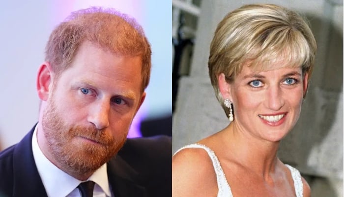Prince Harry eyes major Diana project amid Earl Spencer’s explosive new memoir