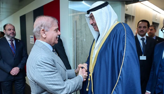 شہباز کی کویتی ولی عہد سے نیویارک میں ملاقات