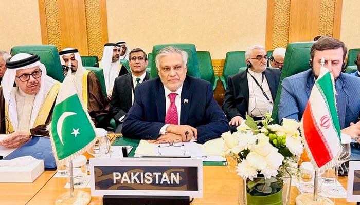 نائب وزیرِ اعظم اسحاق ڈار---فائل فوٹو