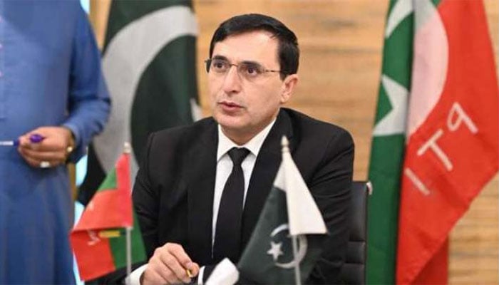 بیرسٹر گوہر : فائل فوٹو