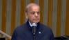 ترقی پذیر دنیا میں قرضوں کی ادائیگی مالی گنجائش کو محدود کر رہی ہے، وزیراعظم شہباز شریف 