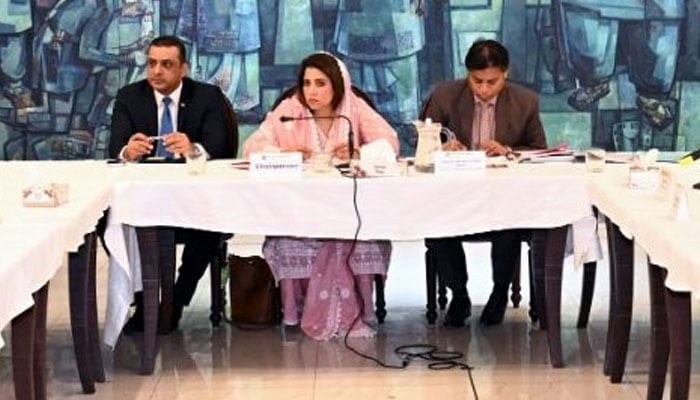 سینیٹ کی قائمہ کمیٹی برائے آئی ٹی کا اجلاس، ٹک ٹاک لائیو پر پابندی زیر بحث