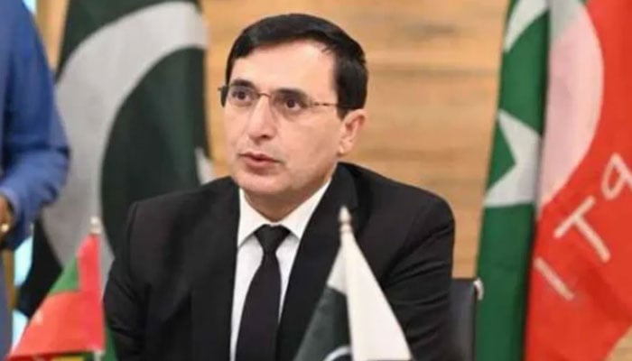 چیئرمین پی ٹی آئی بیرسٹر گوہر - فوٹو: فائل