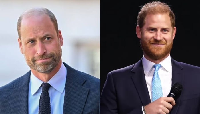 Prince William breaks silence after Prince Harry forced to stop mid-speech in NYC