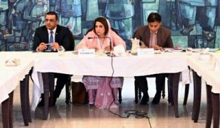 سینیٹ کی قائمہ کمیٹی برائے آئی ٹی کا اجلاس، ٹک ٹاک لائیو پر پابندی زیر بحث