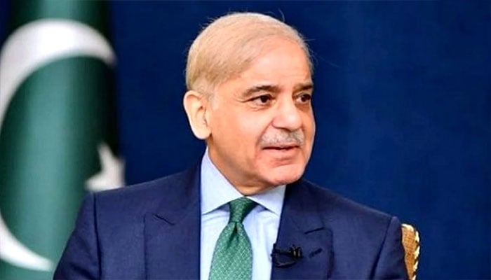 امن کے لیے ہرمز میں سرگرمیوں کی آزادی ہونی چاہیے، وزیر اعظم شہباز شریف