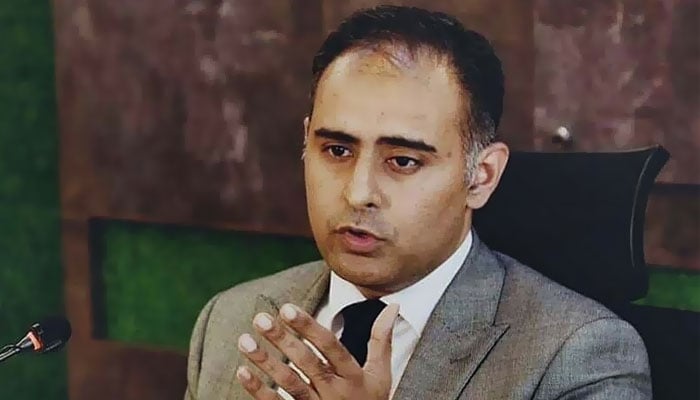 وزیر برائے مملکت خزانہ بلال اظہر کیانی۔فوٹو: فائل