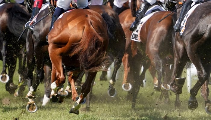 Racehorse renamed after Hitler-reference complaint: New name revealed