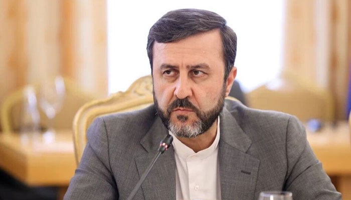 ایرانی نائب وزیرِ خارجہ کاظم غریب آبادی — فائل فوٹو