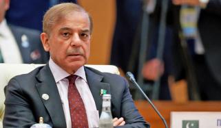 وزیرِ اعظم شہباز شریف کی بین الاقوامی کاروباری شخصیات کو پاکستان میں سرمایہ کاری کی دعوت
