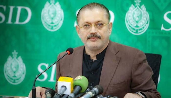 شرجیل انعام میمن---فائل فوٹو