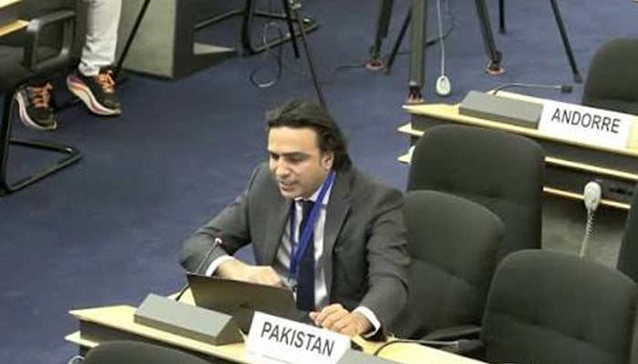 سفیر عدیل ممتاز کھوکھر---فائل فوٹو
