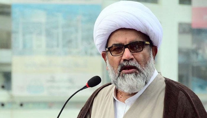 سینیٹ میں اپوزیشن لیڈر علامہ راجہ ناصر عباس—فائل فوٹو