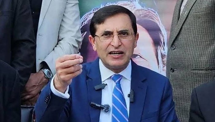 بیرسٹر گوہر— فائل فوٹو