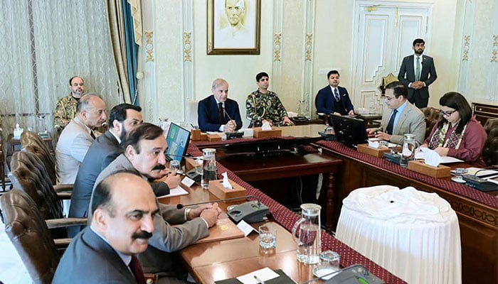 فوٹو: پی آئی ڈی