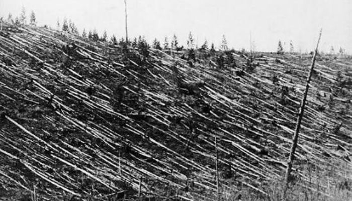 Cosmic airburst leveled Siberian forest without leaving any crater