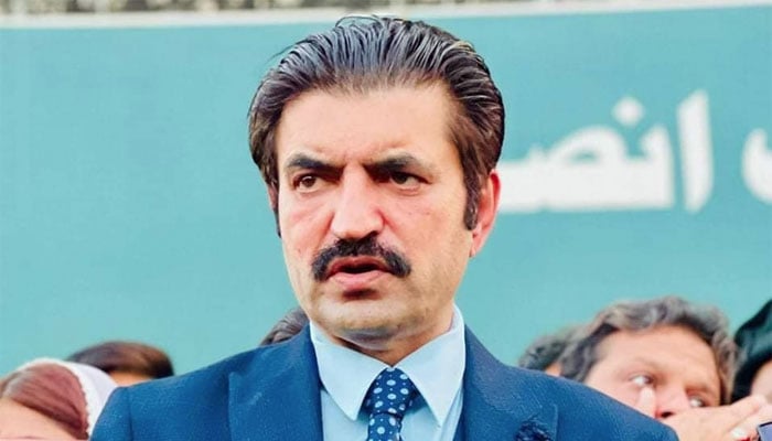 حکومت سے اپوزیشن کے مذاکرات فیس سیونگ کیلئے تھے، شیر افضل مروت