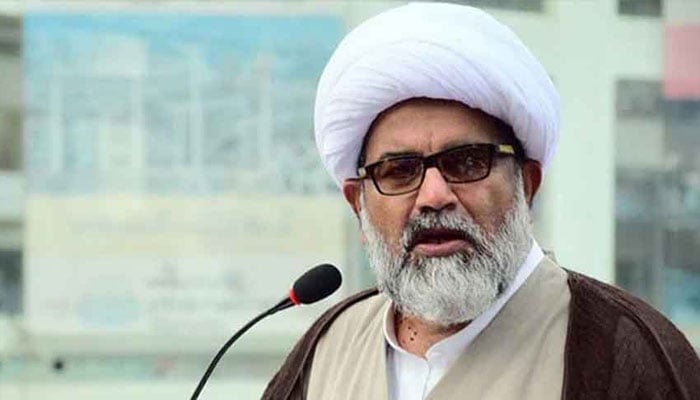 چھوٹی چھوٹی چیزیں تھی لیکن نتائج تک نہیں پہنچ سکے، علامہ ناصر عباس