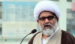 چھوٹی چھوٹی چیزیں تھی لیکن نتائج تک نہیں پہنچ سکے، علامہ ناصر عباس