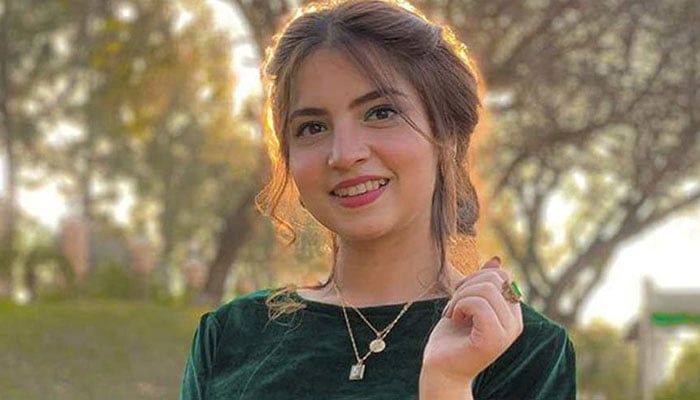 دانانیر مبین—فائل فوٹو