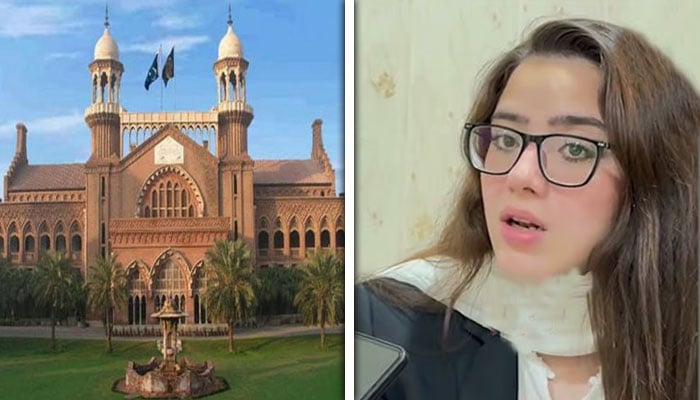 کولاج فوٹو: فائل