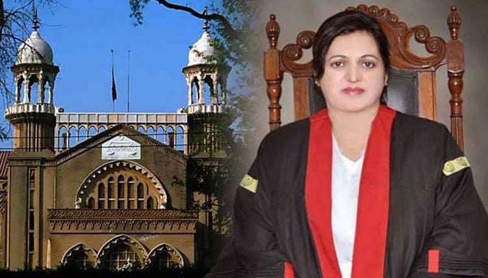 بوگس رجسٹری کیس میں درخواست ضمانت، چیف جسٹس لاہور ہائیکورٹ تفتیشی افسر پر برہم