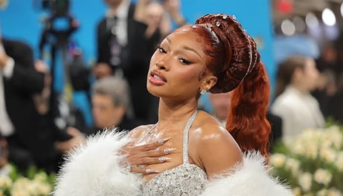 Megan Thee Stallion’s Broadway health scare raises an important question: When should you stop & rest?