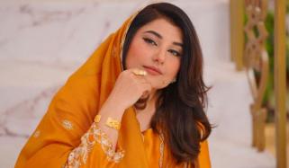 شان شاہد کا پاکستانی فنکاروں کے بھارت میں کام کرنے پر سوال اٹھانا درست ہے: جویریہ سعود