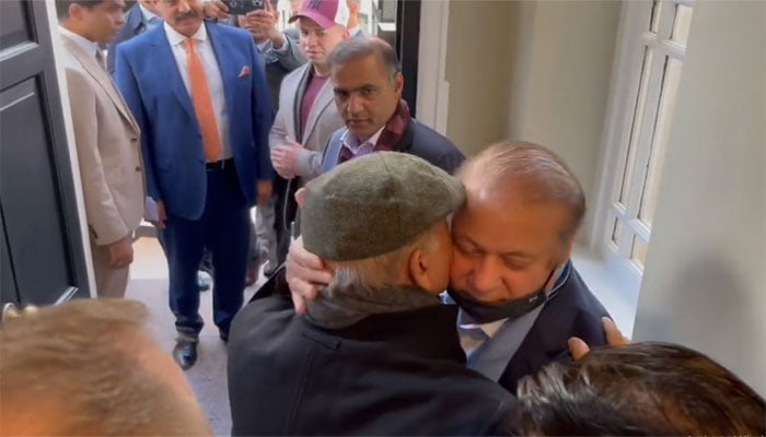 ویڈوی گریب۔