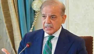 وزیراعظم سے ذیابیطس کے علاج کے بین الاقوامی اور قومی طبی ماہرین کی ملاقات 