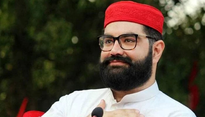 ایمرجنسی یا گورنر راج لگانے کی مخالفت کرتے ہیں، ایمل ولی