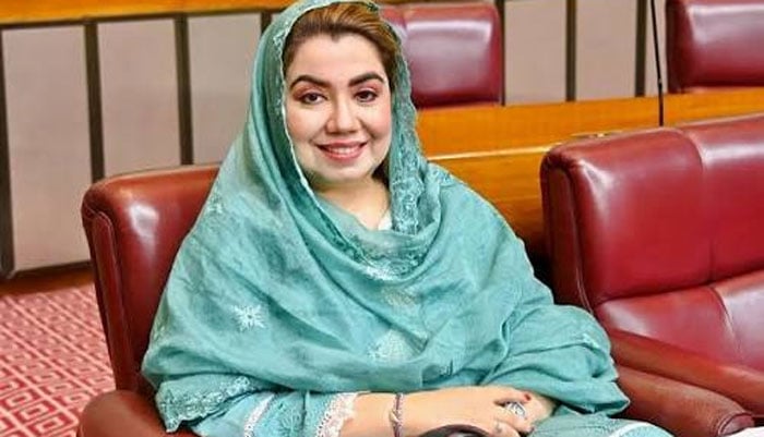آج جو مشکل فیصلہ کیا یہ کوئی تمغہ لینے کیلئے نہیں کیا: ثمر ہارون بلور