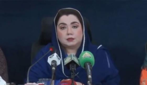 13 سال سے ایسی حکومت مسلط تھی جس نے سیاست کو گالی اور پشاور کو کھنڈر بنا دیا، ثمر بلور 13 سال سے ایسی حکومت مسلط تھی جس نے سیاست کو گالی اور پشاور کو کھنڈر بنا دیا، ثمر بلور