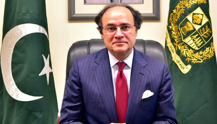 وفاقی وزیر خزانہ محمد اورنگزیب---فائل فوٹو