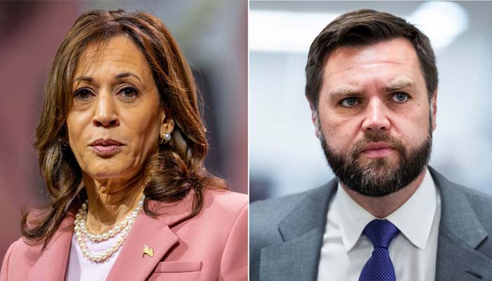 2028 presidential candidates begin to emerge in new poll ahead of midterms