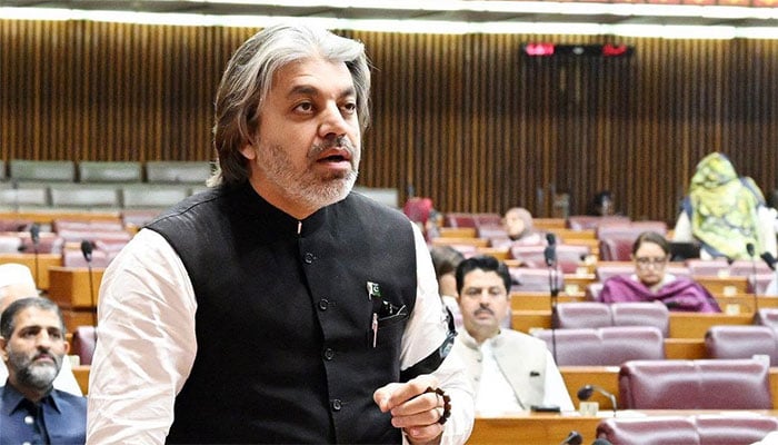 رکن قومی اسمبلی علی محمد خان : فوٹو فیس بک/ قومی اسمبلی